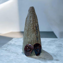 Indlæs billede til gallerivisning Den generte skovnisse
